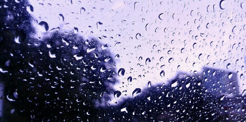 DeliaFabri's profile banner image