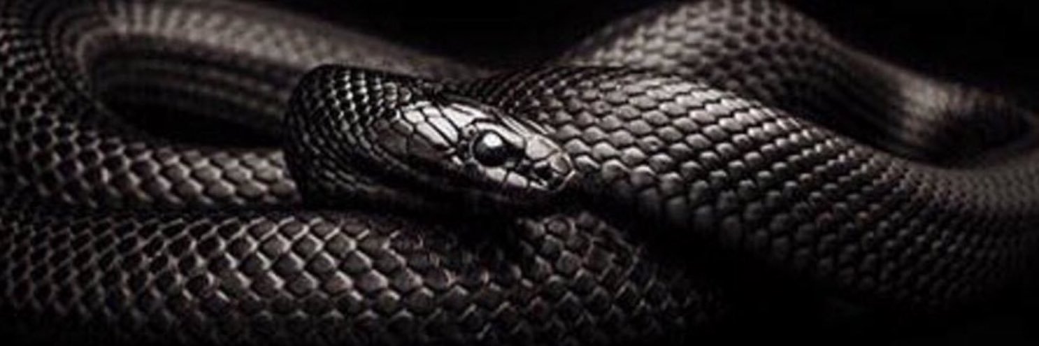 FragranceTm's profile banner image