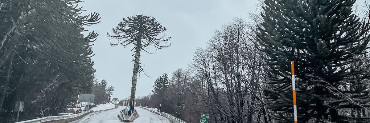 rtudelar's profile banner image