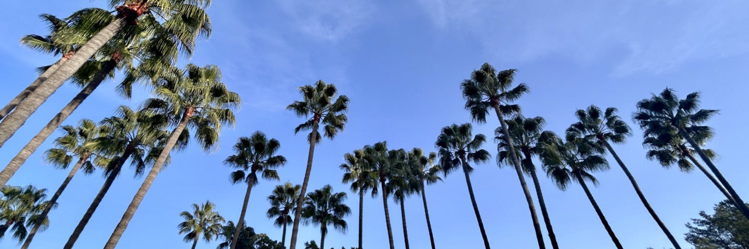 anthnychn's profile banner image