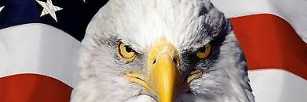 TAGarrick's profile banner image