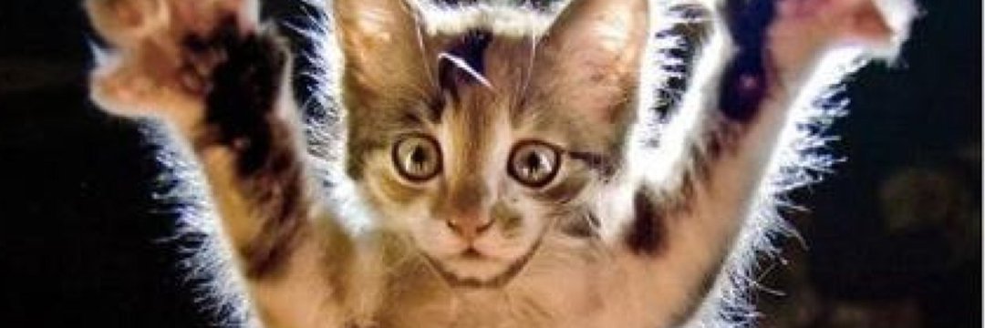 bri71172's profile banner image