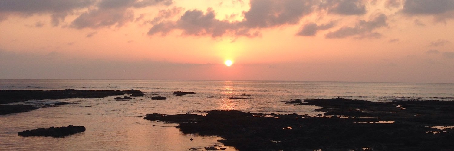 Reda_Alhamed's profile banner image