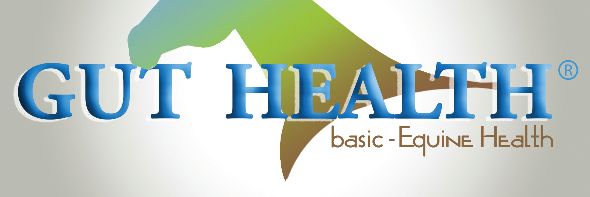basicEquine's profile banner image