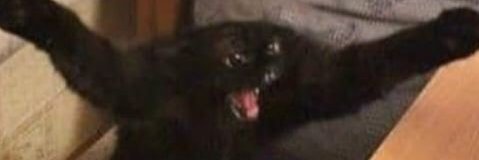 joshmarvnat's profile banner image