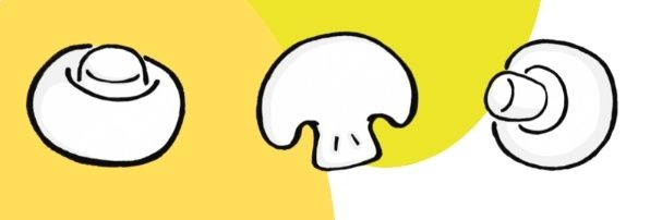 きの延子🍄‍🟫🍄 banner