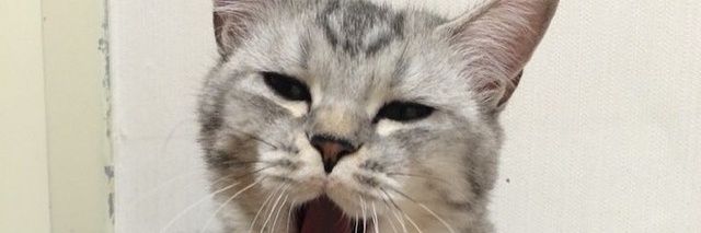 HTTPBENIGNE's profile banner image