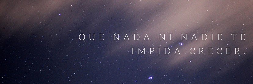 cecidaltamura's profile banner image