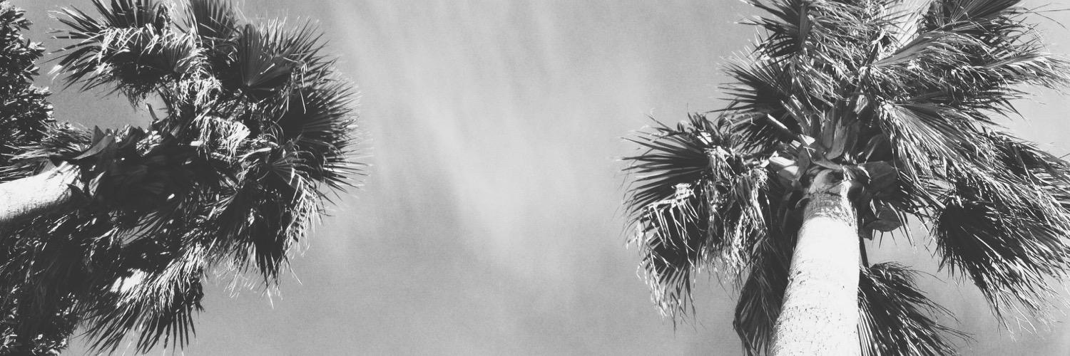 insbsd_'s profile banner image