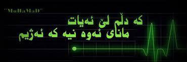 SAyKAq81yE7SLDb's profile banner image