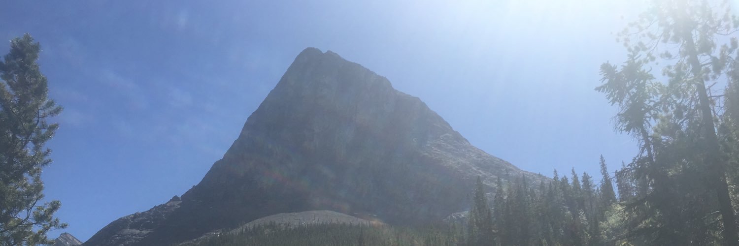 CarlaJBarney's profile banner image