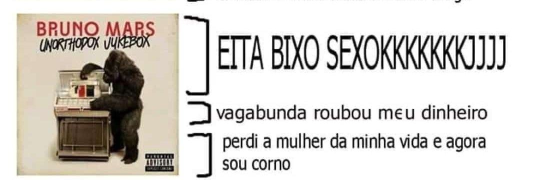Flavi banner