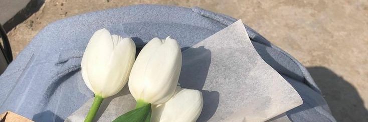 mintchalanda's profile banner image