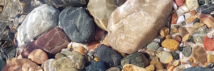 jineen banner
