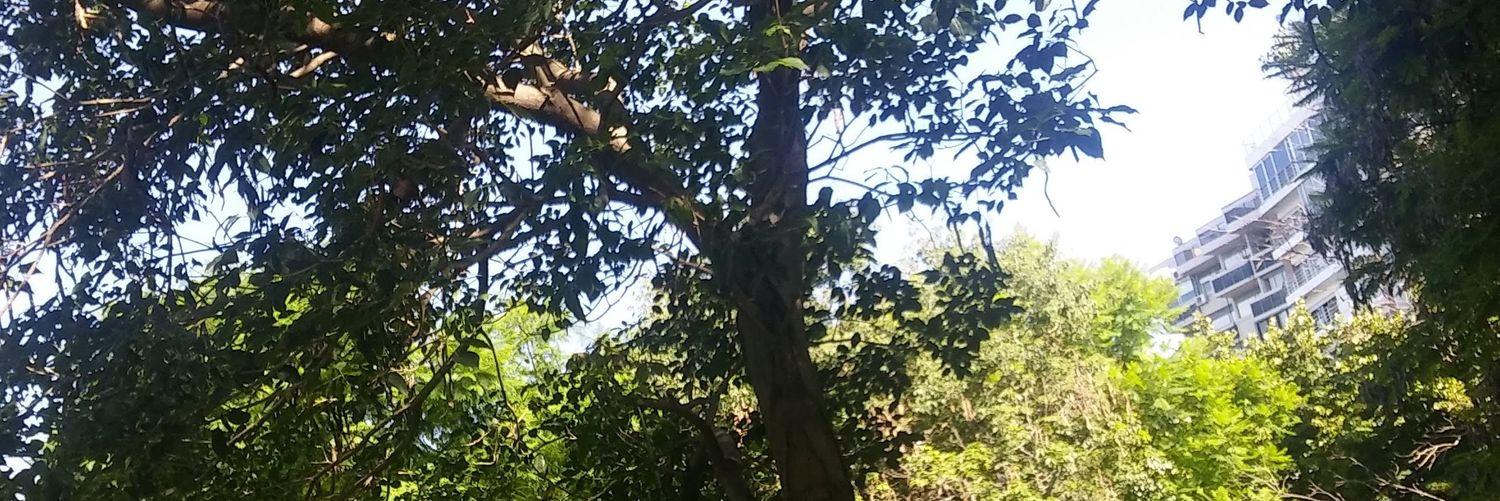 victgis's profile banner image