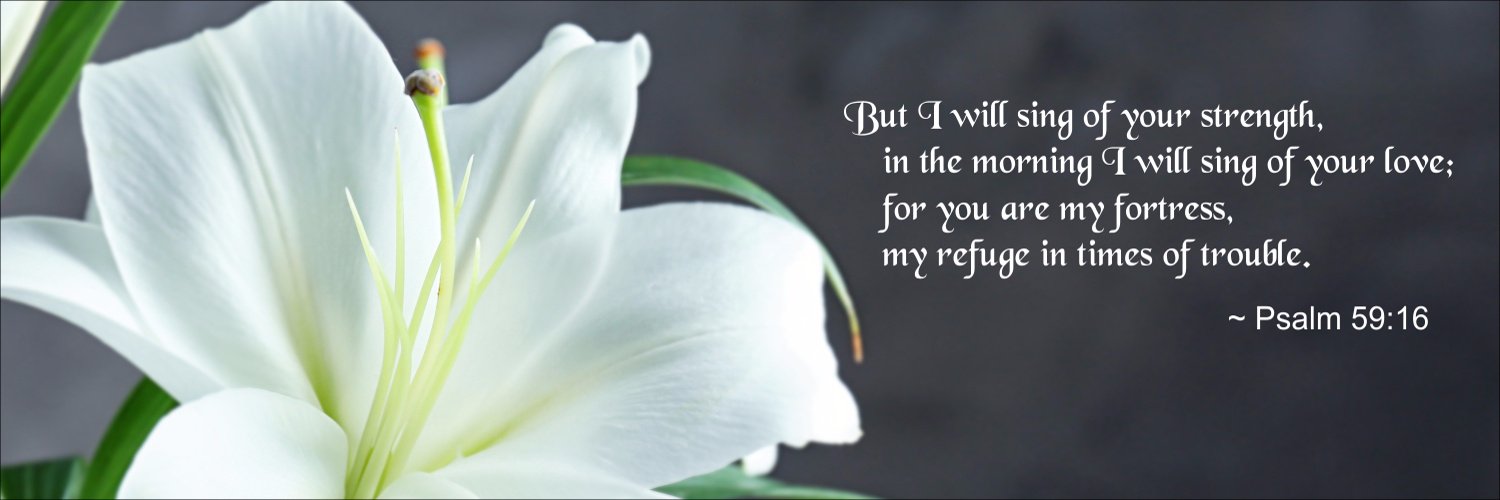 Suzzette Michaels banner