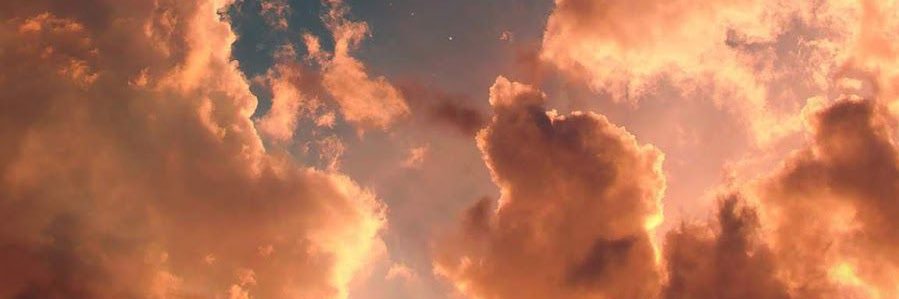 Kaibull2001's profile banner image
