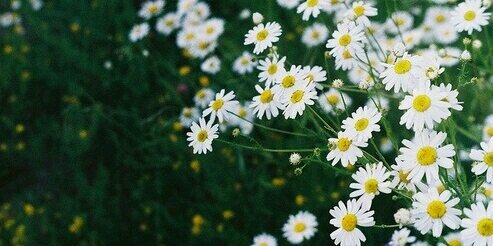 caits_17's profile banner image