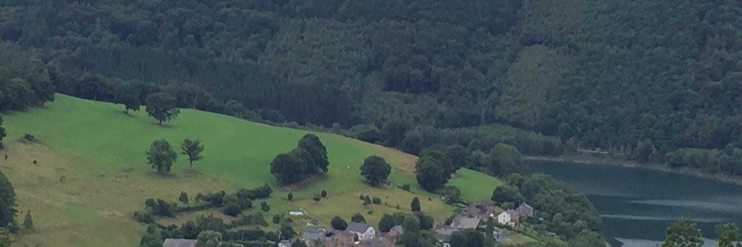 سالم الربيّع banner