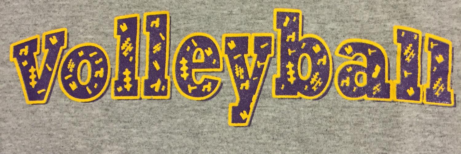 THSVball's profile banner image