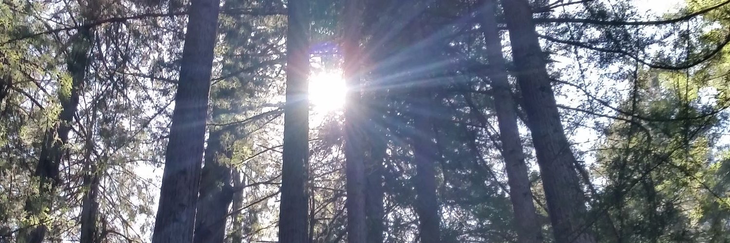 knoko551's profile banner image