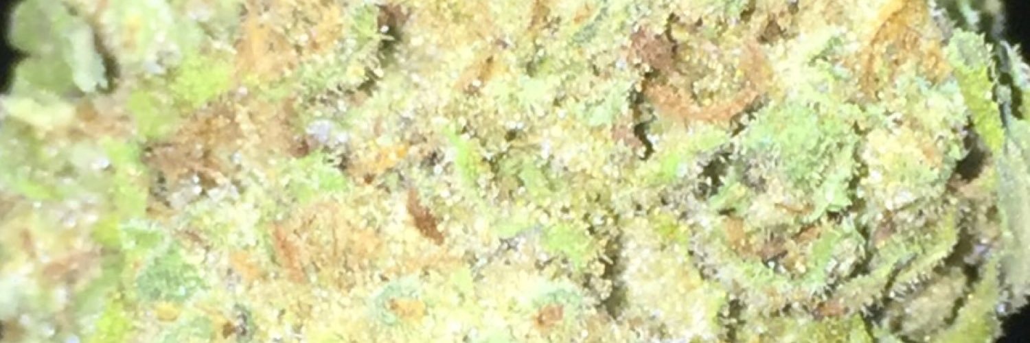 KushFaceJuggalo's profile banner image
