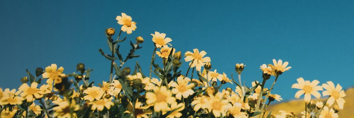 gmyaya's profile banner image