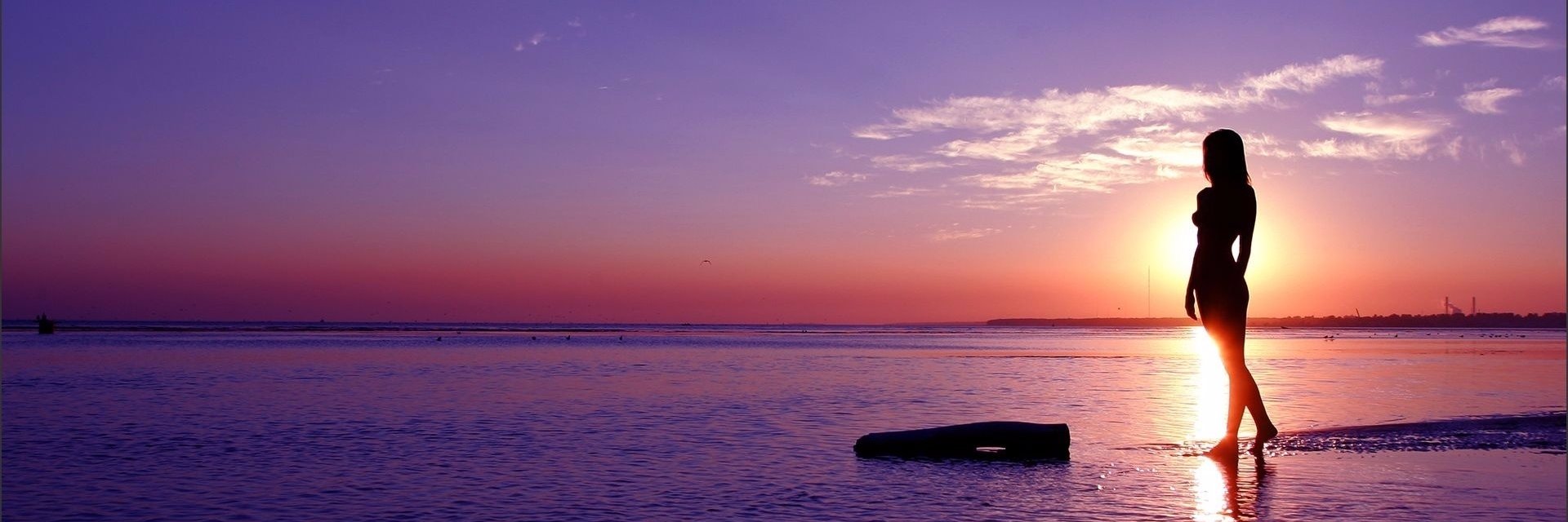 ImK9KK9's profile banner image