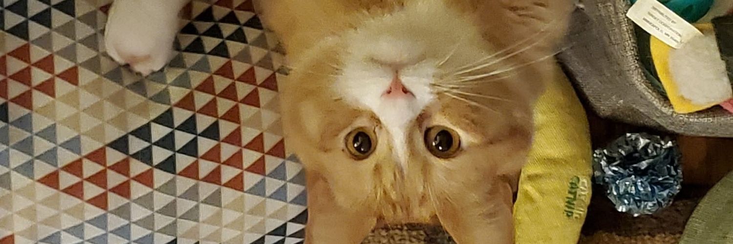 Comic_Book_Ivan's profile banner image