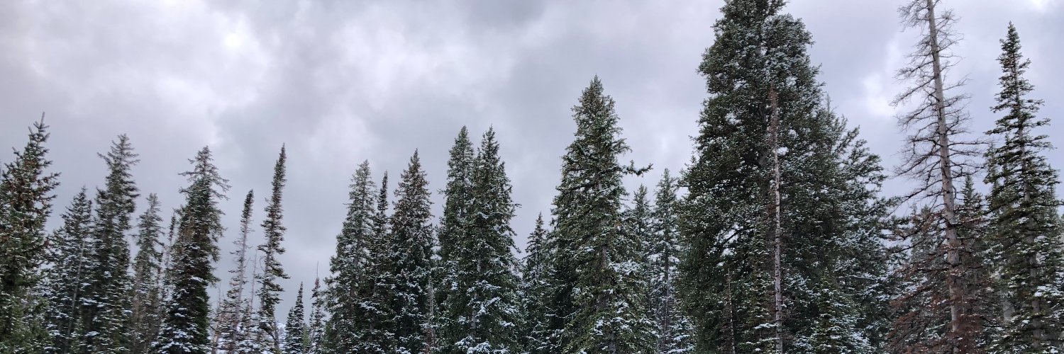 amteusch's profile banner image