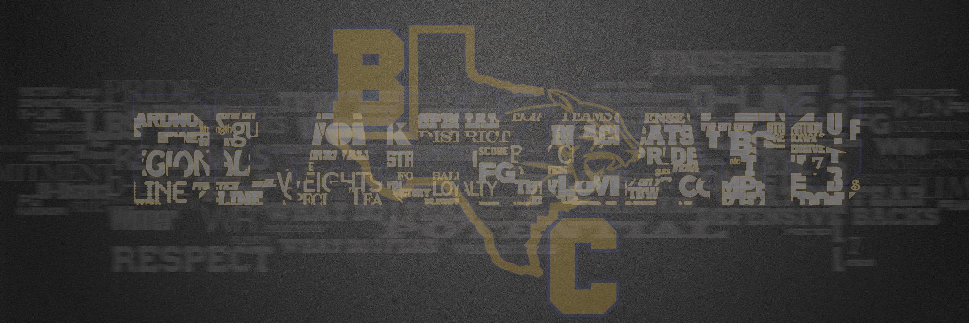TheBlackCatsWay's profile banner image