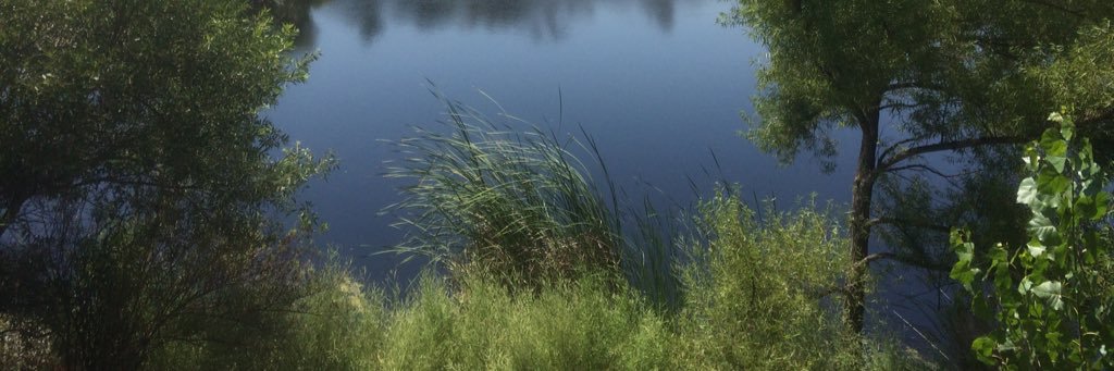 LakesideRvrPrk's profile banner image