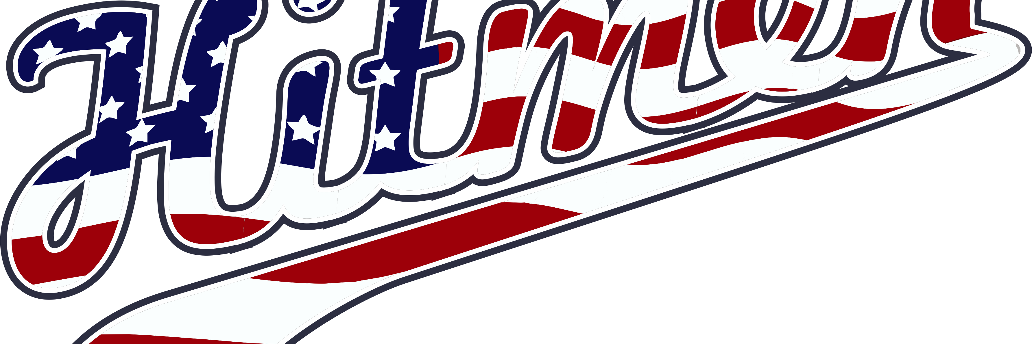 Illinois Hitmen banner