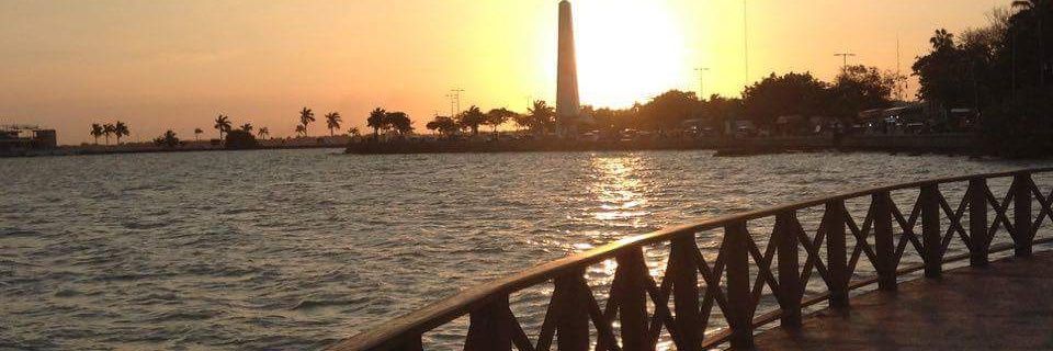 AnyZus_k31's profile banner image