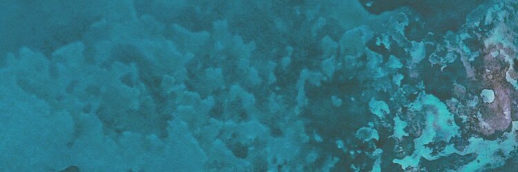 zacseg's profile banner image