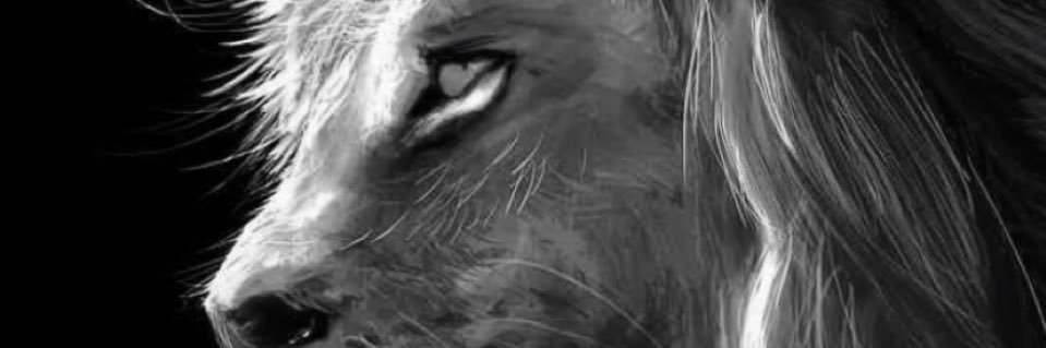 2fass1900's profile banner image
