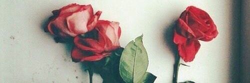 yourfavorite92's profile banner image