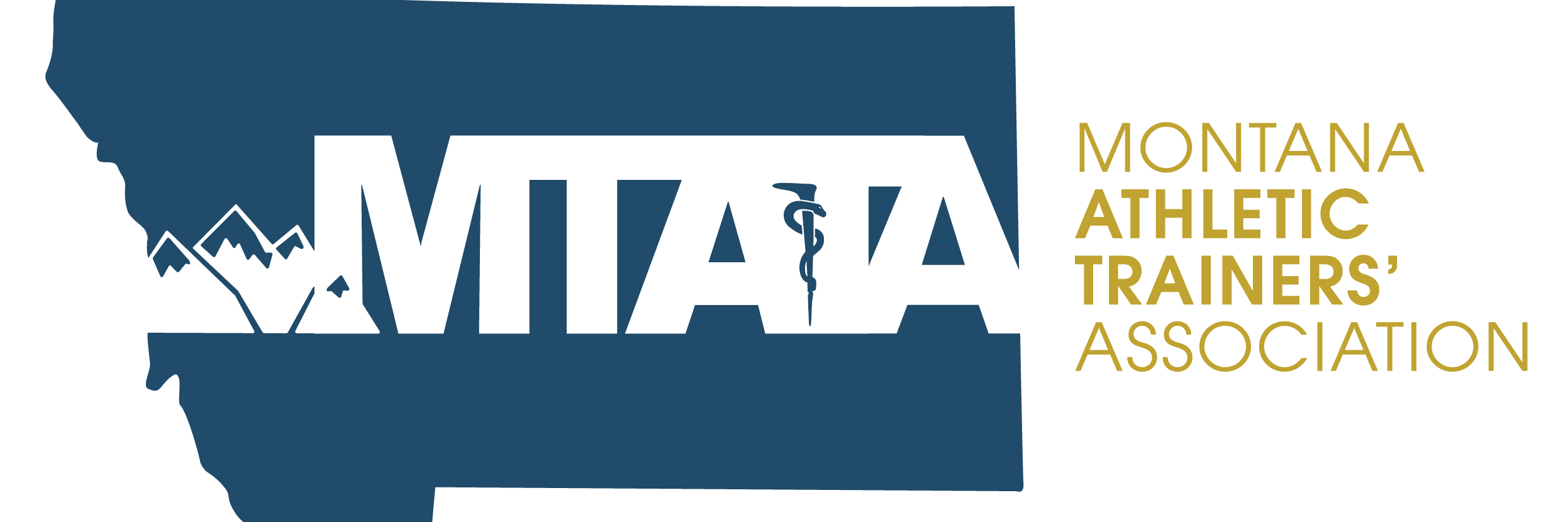 MTATA41's profile banner image