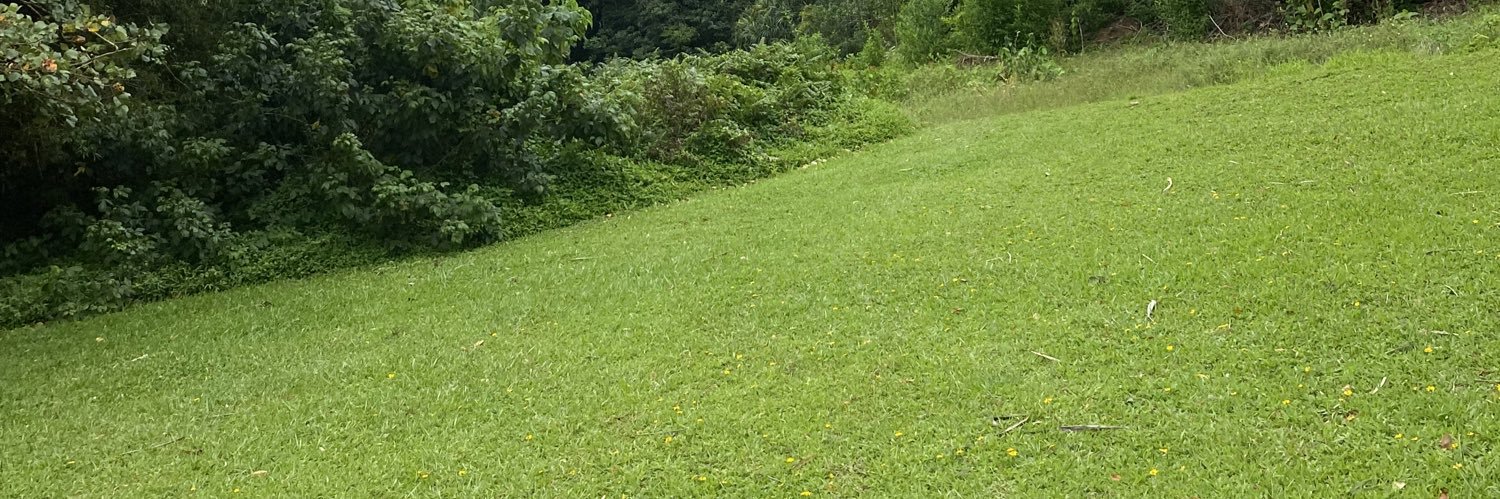 mpchenette's profile banner image