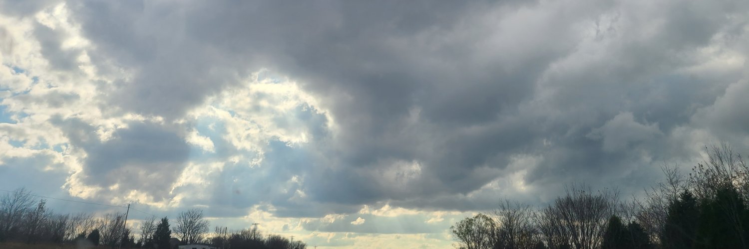 MandatoryManda's profile banner image