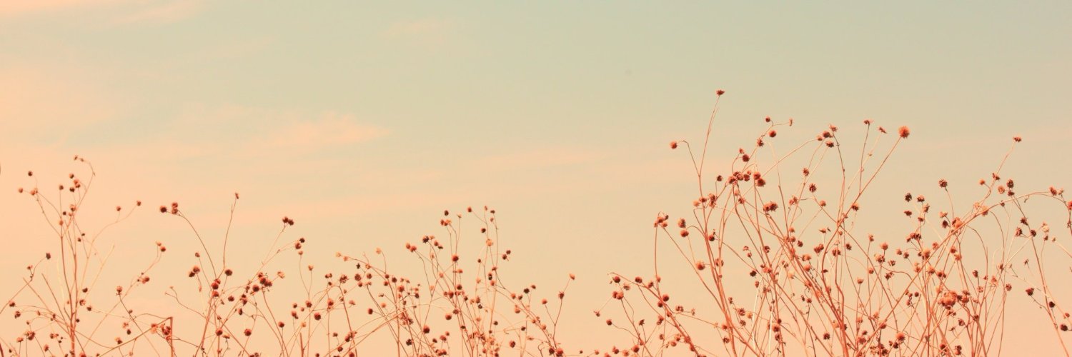 3Nadezhda3's profile banner image
