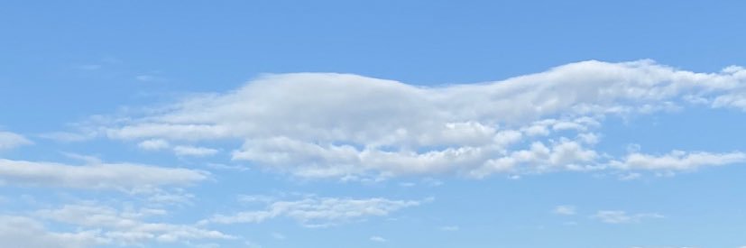 atiny__roady's profile banner image