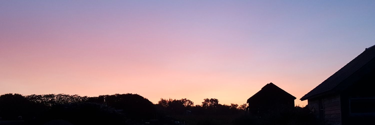 Melissa strangfeld banner