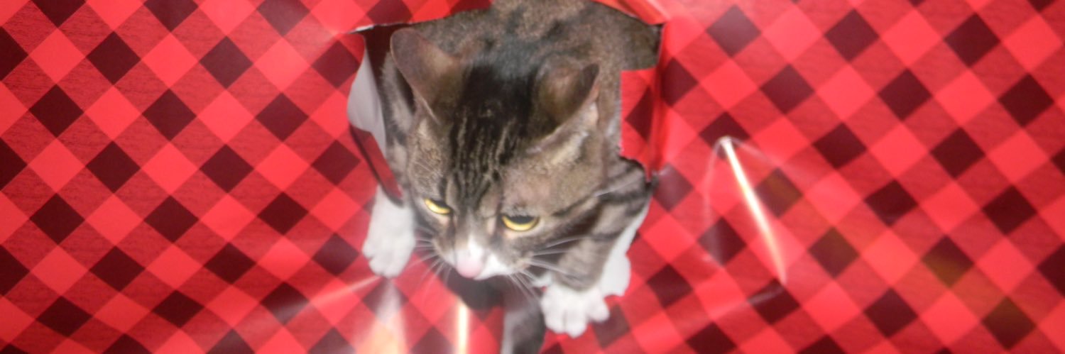 gbhendrickson's profile banner image