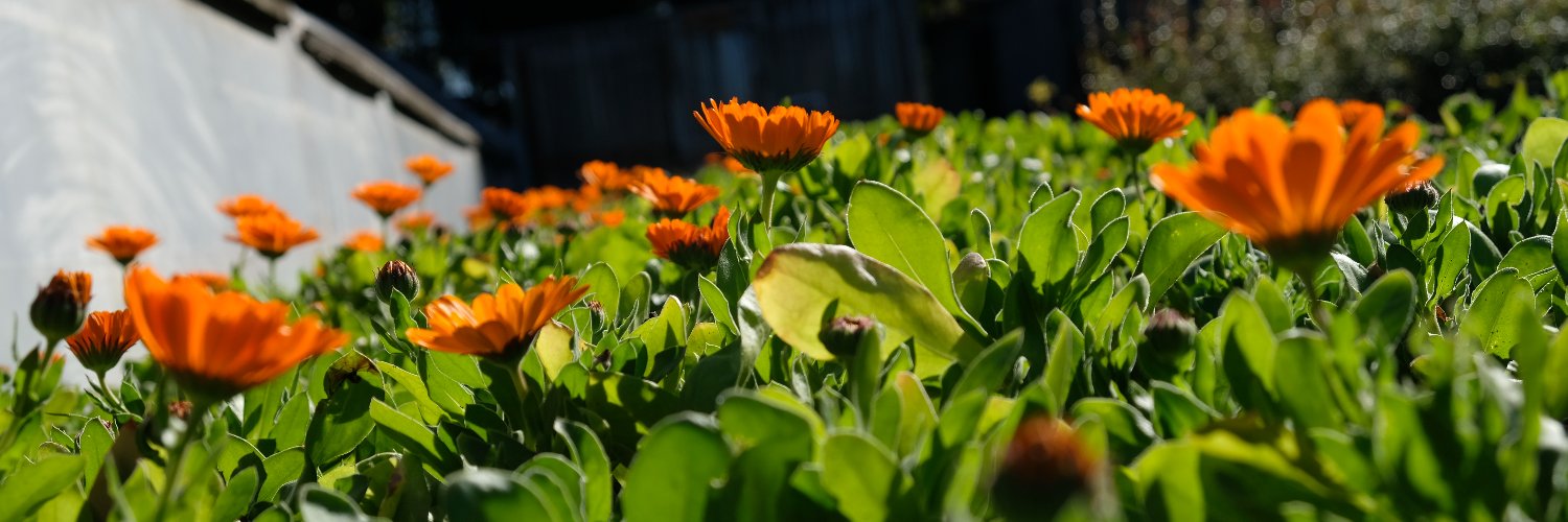 Dig Deep Farms banner