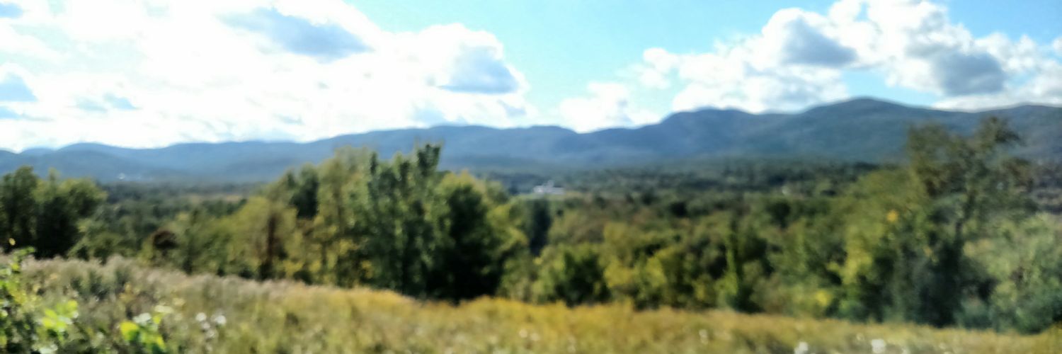 SomeDevGuyTy's profile banner image
