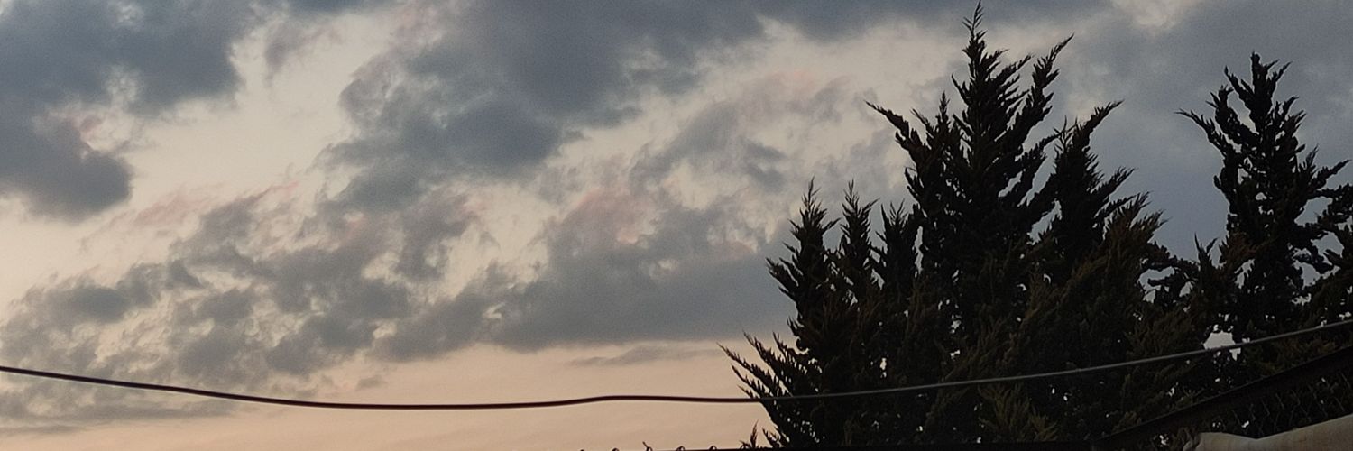 alliperalta1's profile banner image