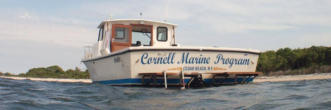 CCE Marine Program banner