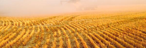 grandpgeisel Profile Banner