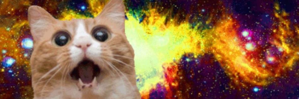 FoloubakBak's profile banner image